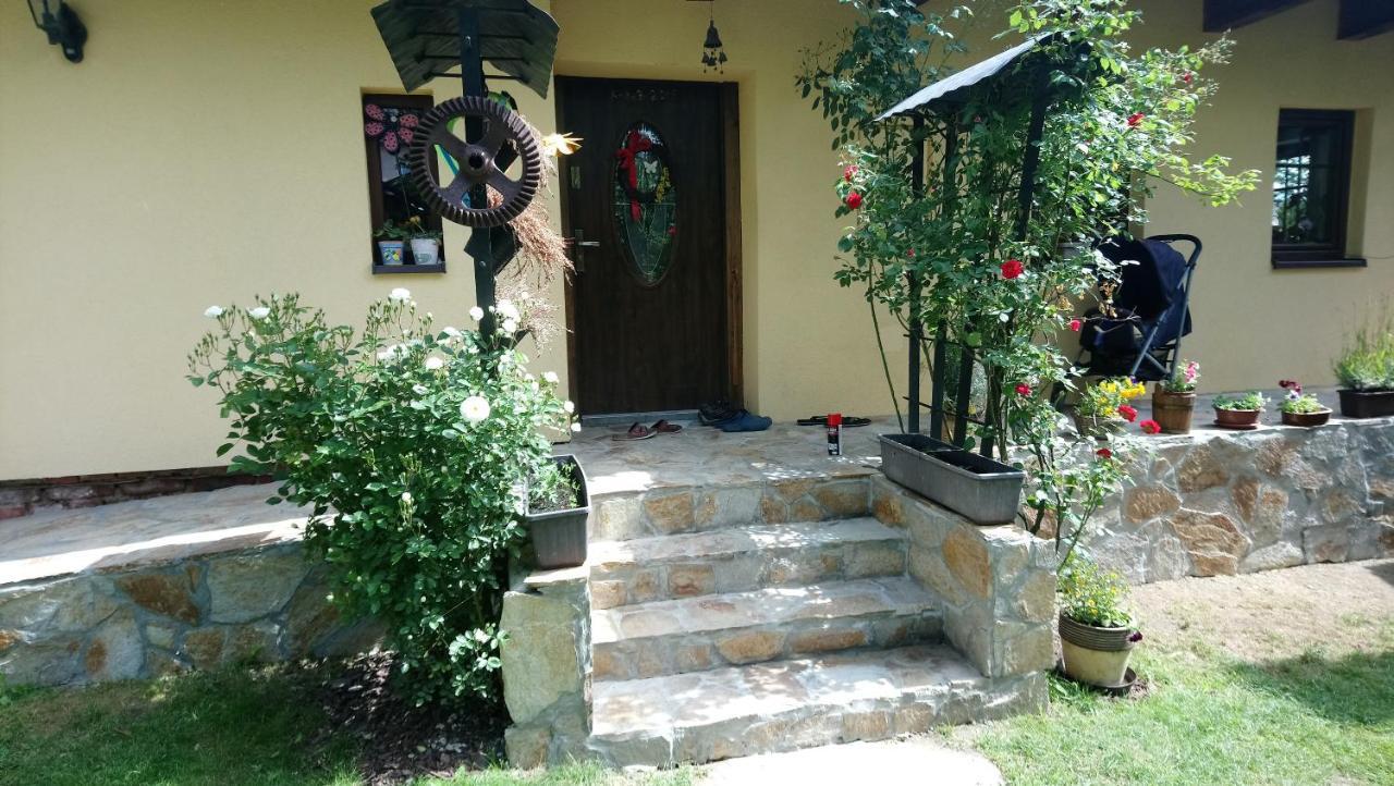 Chalupa U Potoka Červená Voda Exterior foto